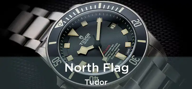 North Flag Tudor